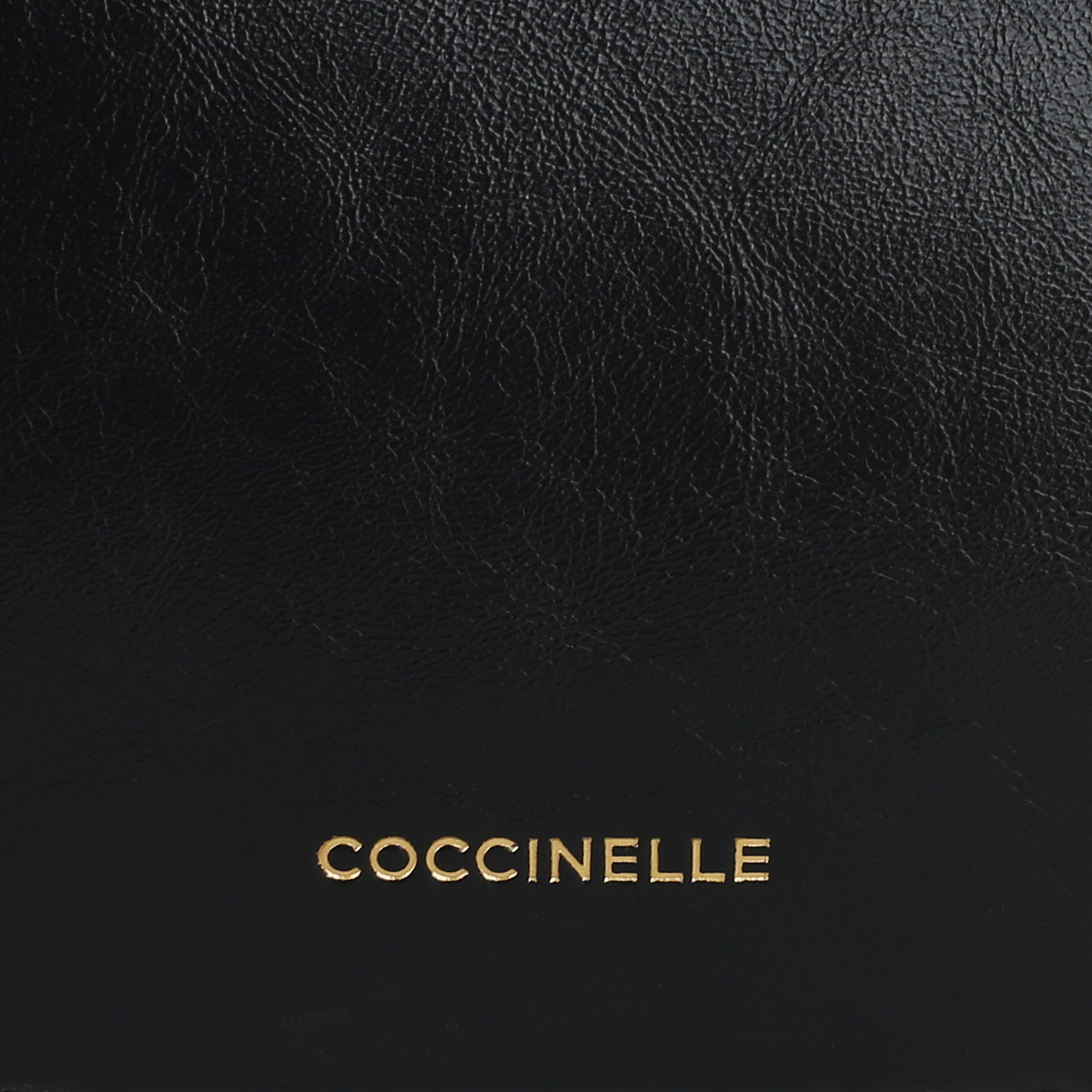 Кожаная сумка Coccinelle Carrie Rock